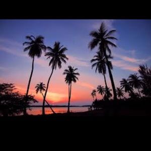 Meet your Posher, Dana